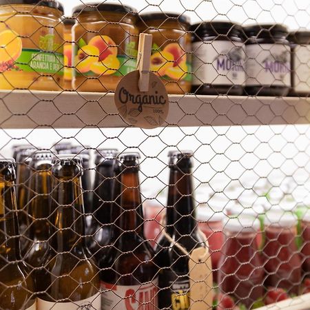 Locanda Dell'Aioncino Bibbona Εξωτερικό φωτογραφία